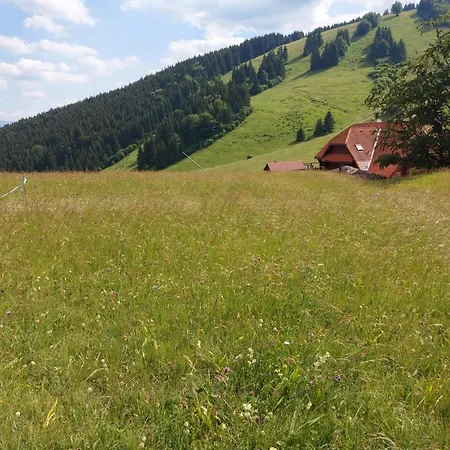 Chata U Sovicky Malino Brdo * Ruzomberok