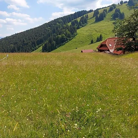 Domek letniskowy U Sovicky Malino Brdo