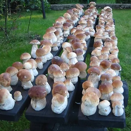 Chata U Sovicky Malino Brdo Jaktstuga