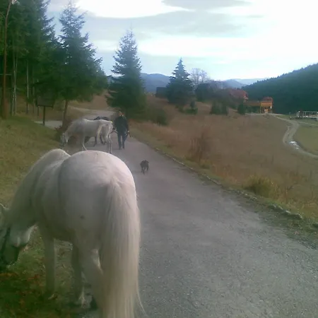 Chata U Sovicky Malino Brdo *